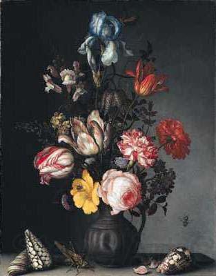 Balthasar van der Ast Flowers in a Vase with Shells and Insects Norge oil painting art